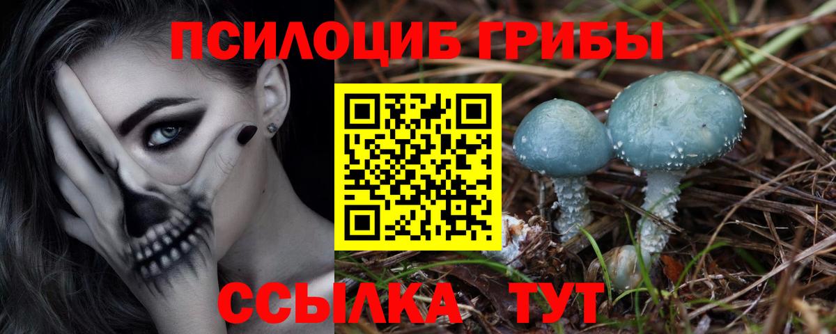 Галлюциногенные грибы мицелий  Вход с VPN  Десногорск  Псилоцибиновые грибы GOLDEN TEACHER 